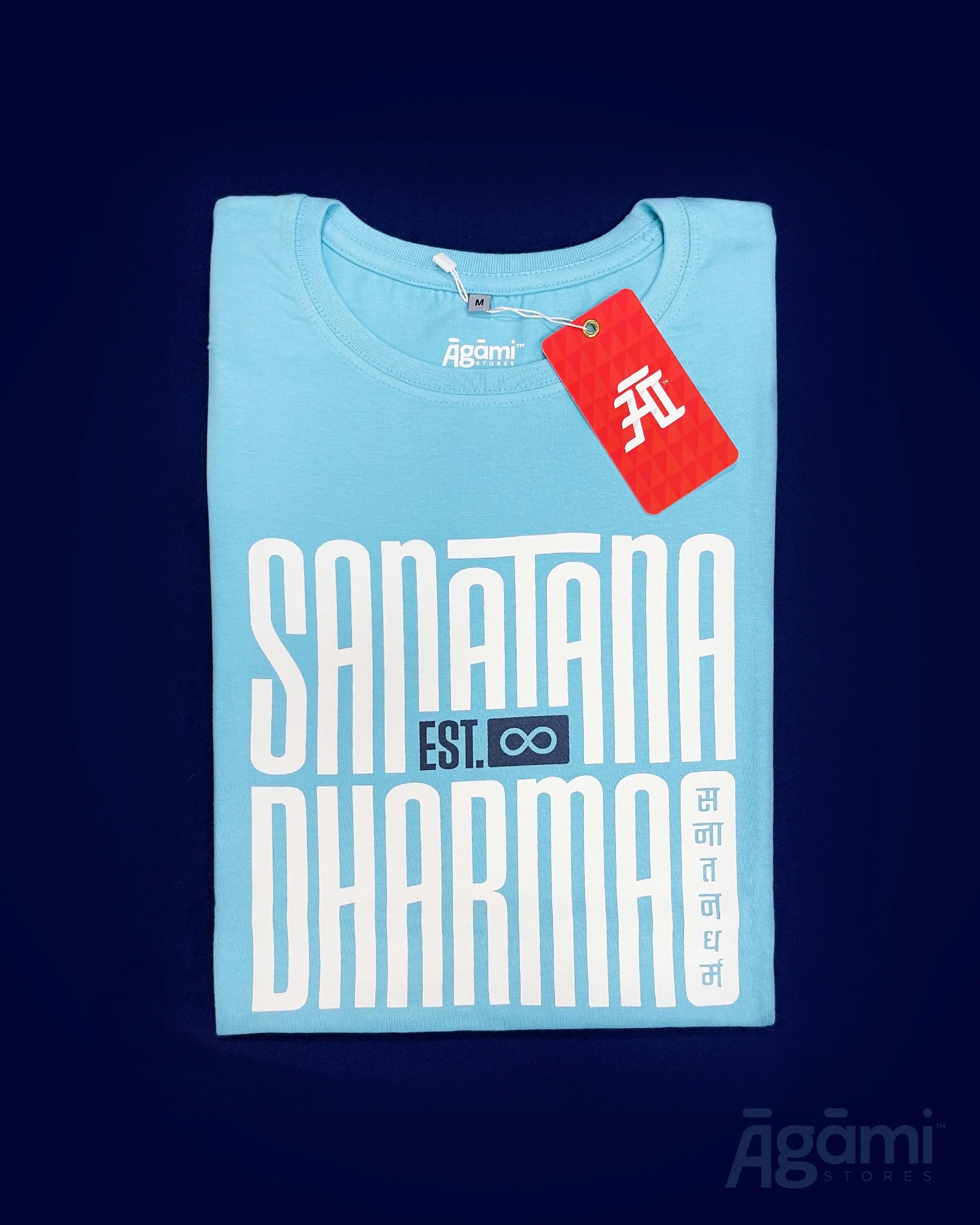 Sanātana Dharma Tshirt - Aqua - Image 4