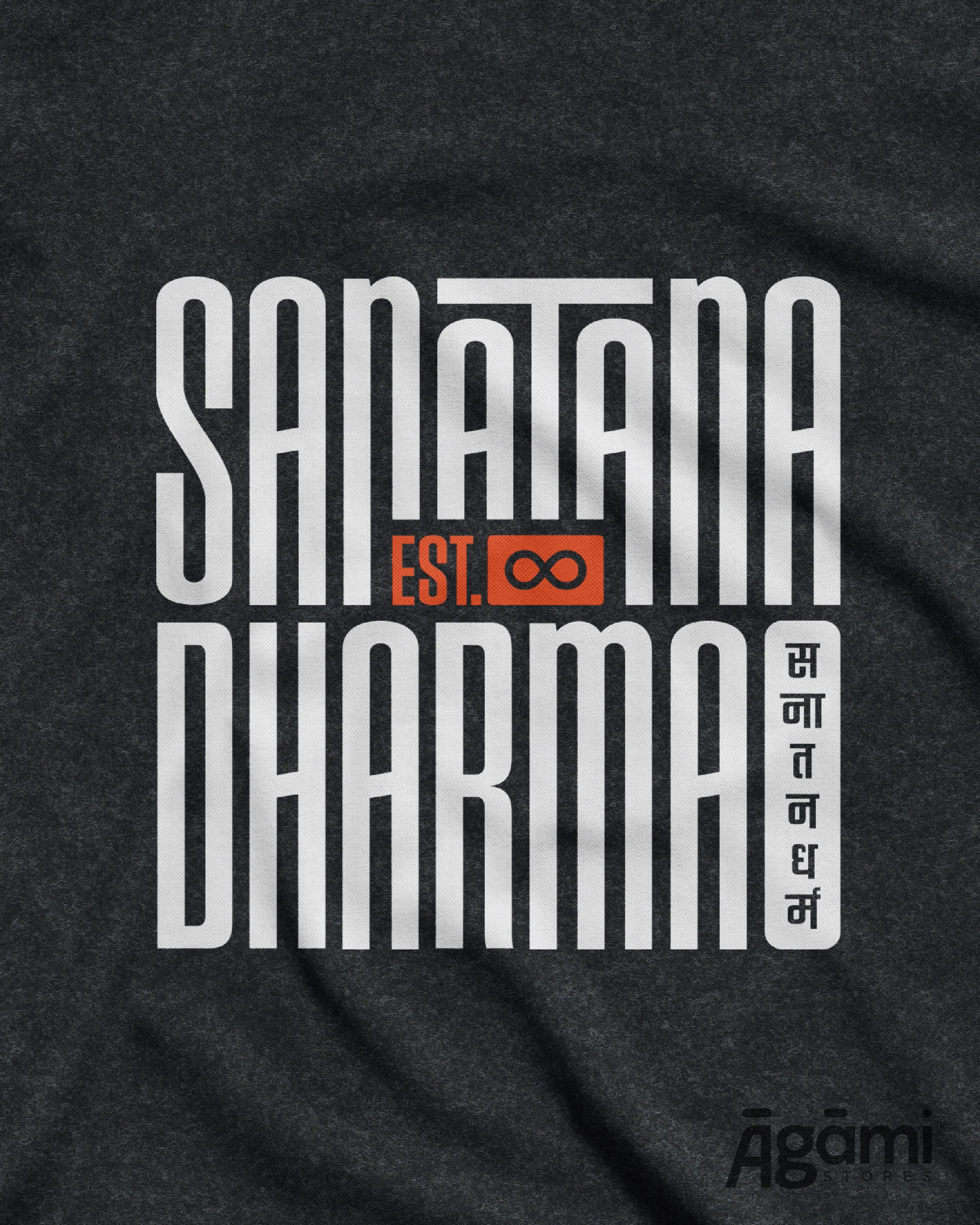 Sanātana Dharma Tshirt - Dark Grey - Image 3