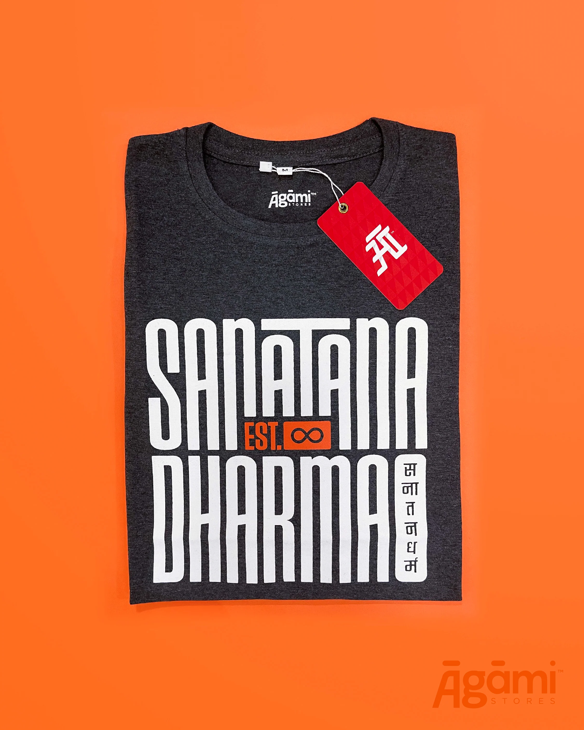 Sanātana Dharma Tshirt - Dark Grey - Image 4